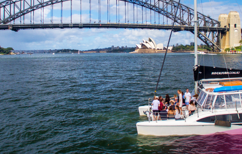 Rockfish Catamarans 10 facts Sydney Harbour